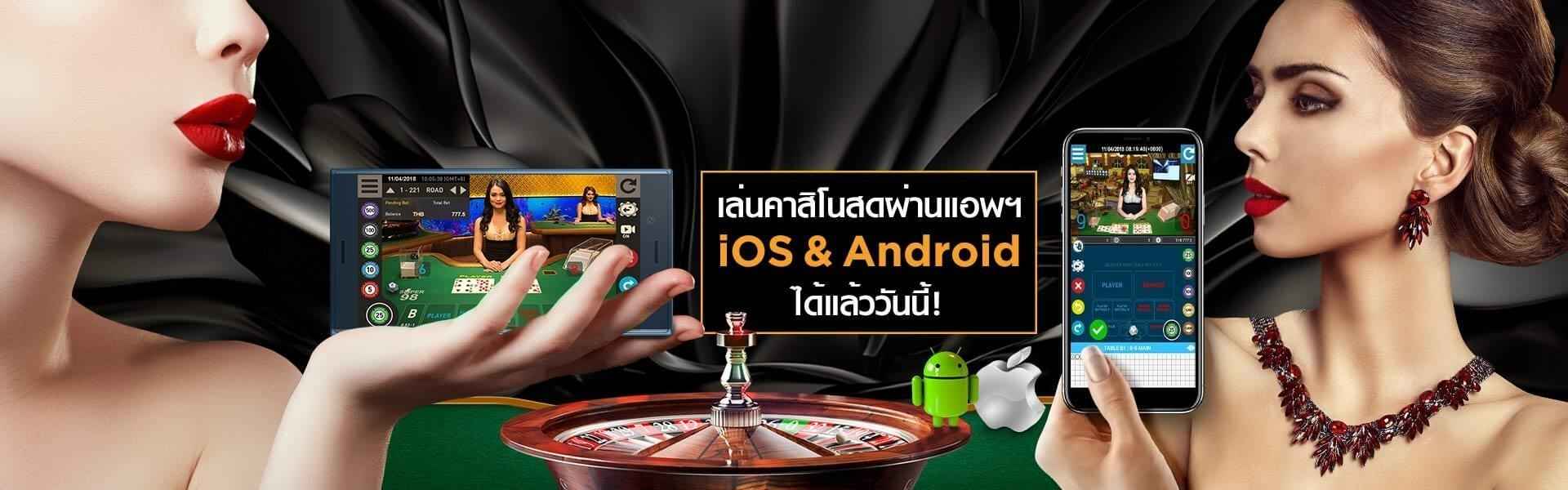 alpha888 เข้าสู่ระบบ